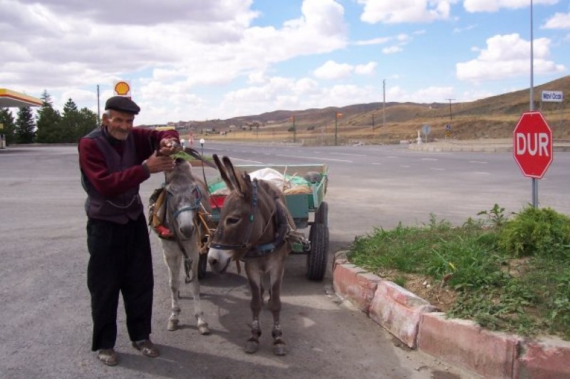 Ahmet Sağmen