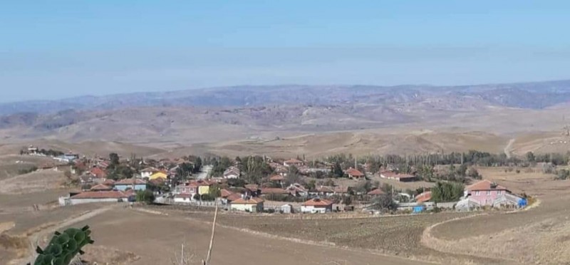Gökçam Genel Görünüş